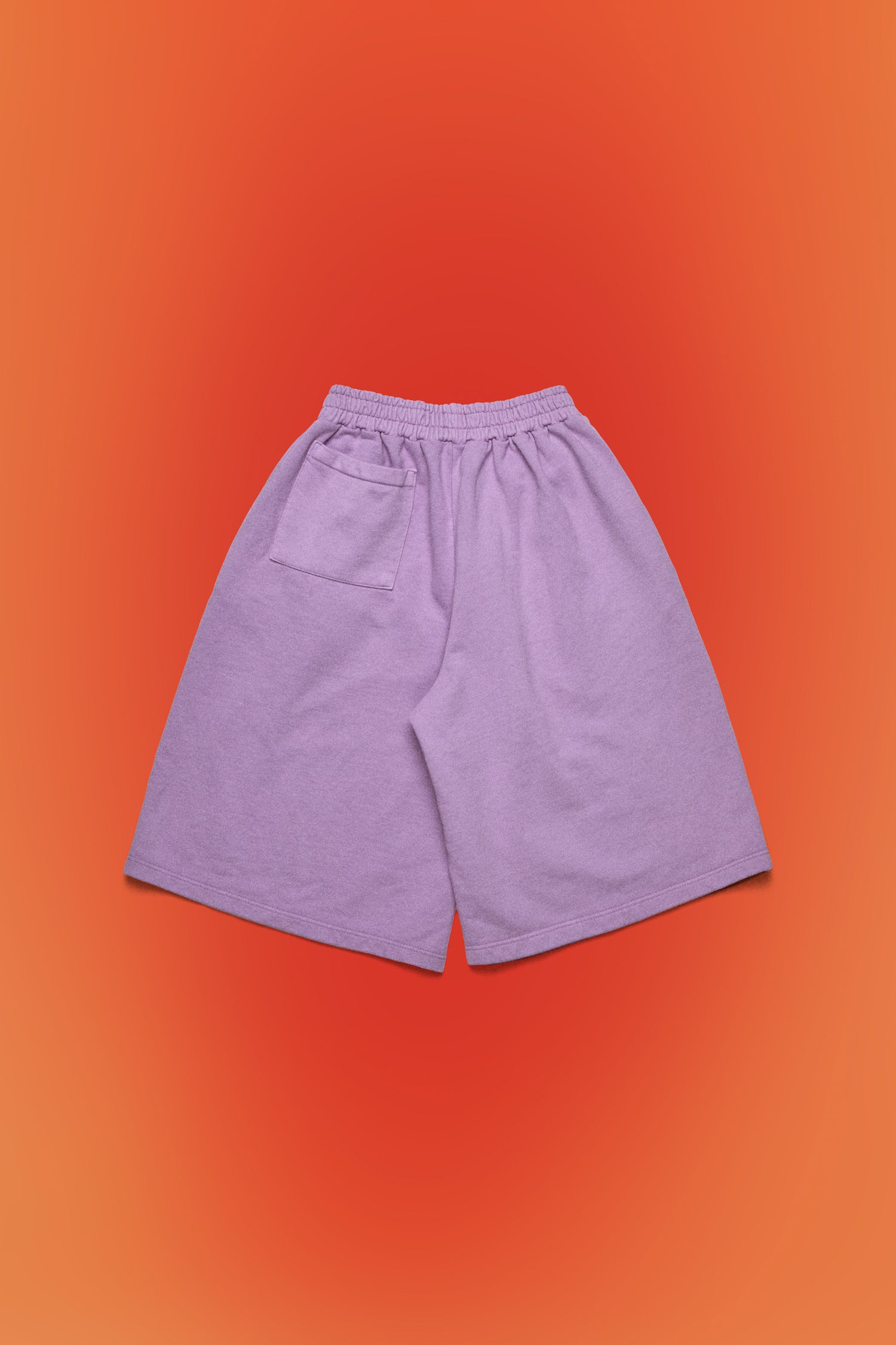 CAMPIONE MONDIALE SHORTS // PURPLE