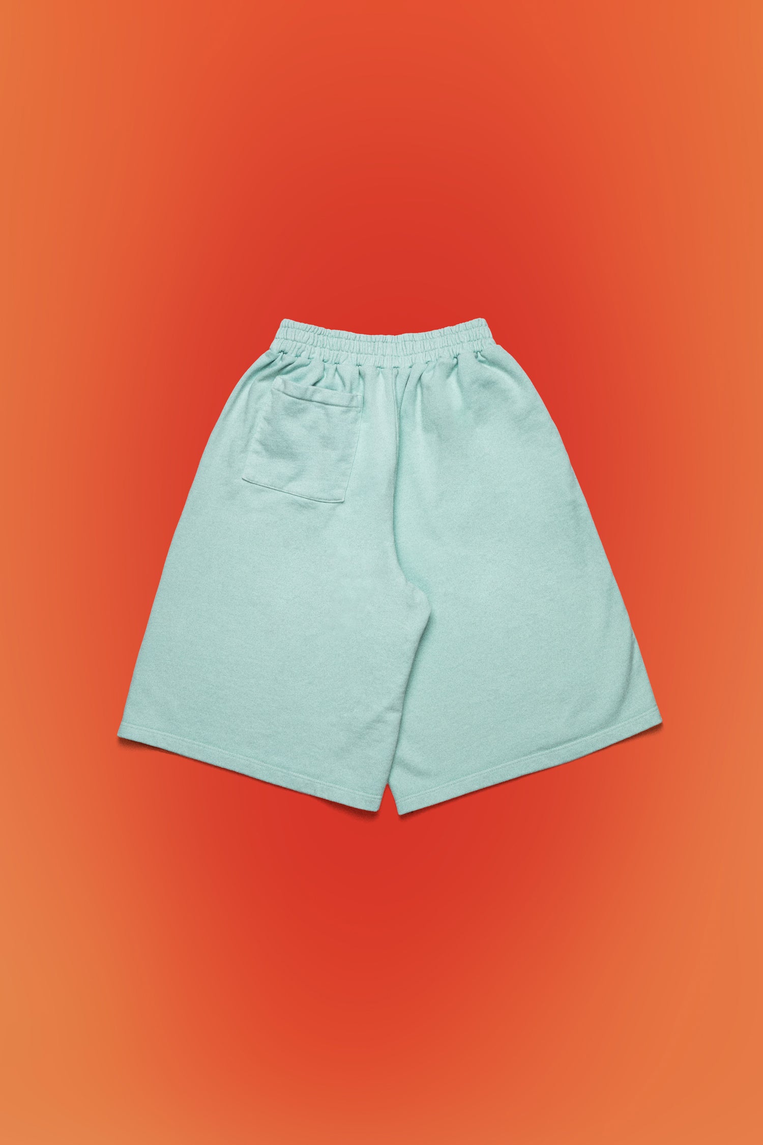 CAMPIONE MONDIALE SHORTS // LIGHT GREEN